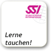 ssi onlinetraining